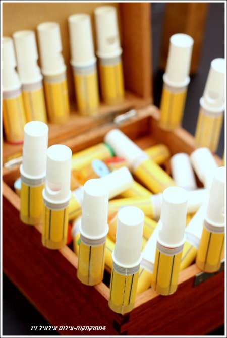 שולחן חגיגי עם מתוקים לכבוד החזרה ללימודים