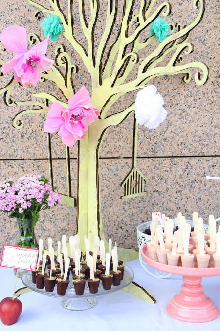 לוליפופ פיסטוק ופירות על יד עץ אביבי פורח