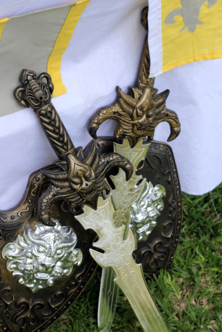 חרבות ומגנים ליום והלדת אבירים