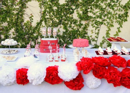 טו בשבט באדום לבן - מבט על השולחן כולו